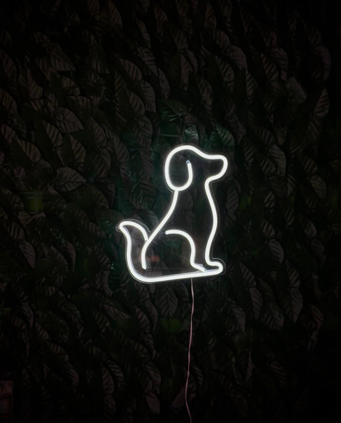 Tabella luminosa Cane